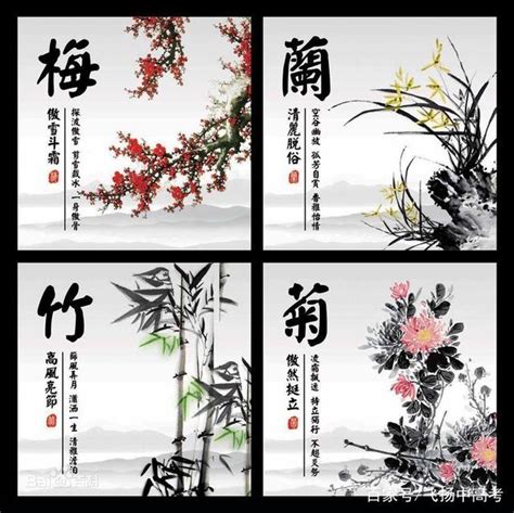 梅蘭菊竹四君子|植物四君子「梅蘭竹菊」的文化象徵